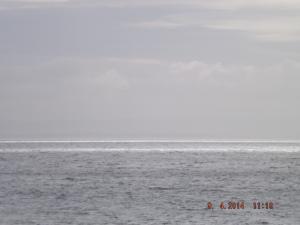 DSCF2396.JPG