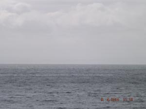 DSCF2397.JPG