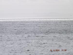 DSCF2400.JPG
