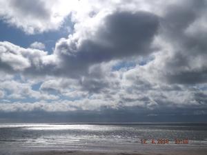 DSCF2403.JPG