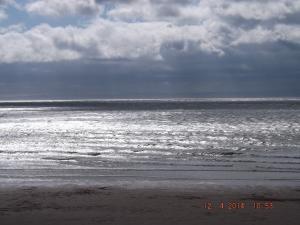DSCF2404.JPG