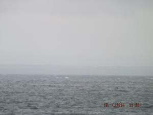 DSCF2407.JPG