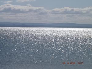 DSCF2417.JPG