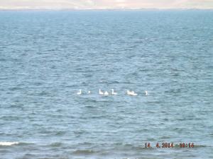 DSCF2424.JPG