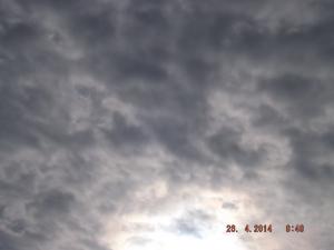 DSCF2442.JPG