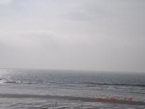 DSCF2446.JPG