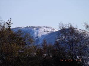 DSCF3608.JPG