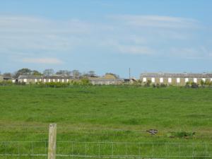 2010_05180008.JPG