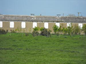 2010_05180009.JPG