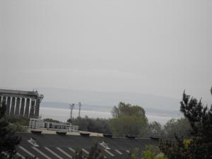 2010_05290005.JPG