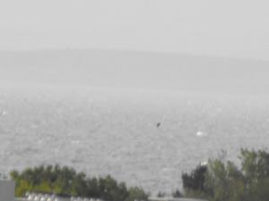 2011_0521overtheforth21may0004.JPG
