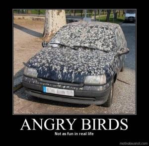 CAR.jpg