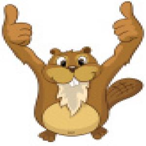 stock-illustration-20108204-funny-beaver.jpg
