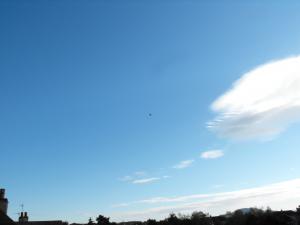 2012_05120006.JPG