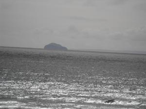 2012_05190004.JPG