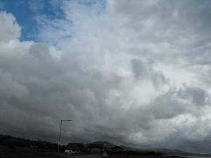 2012_05190009.JPG