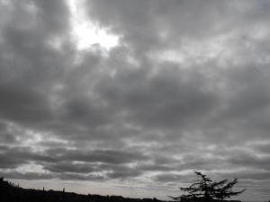 2012_05200010.JPG