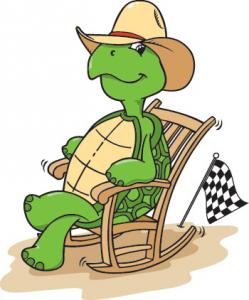 turtlelogo.jpg