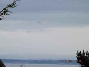 forth11.5.13 005.JPG