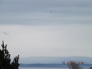 forth11.5.13 006.JPG
