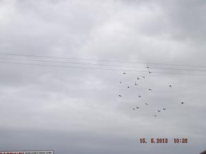 crail15.5.13 010.JPG