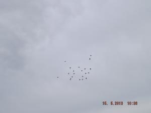 crail15.5.13 012.JPG