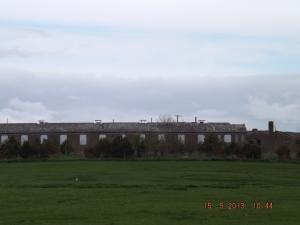 crail15.5.13 016.JPG
