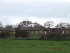 crail15.5.13 017.JPG