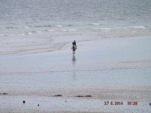 DSCF2462.JPG