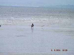 DSCF2466.JPG