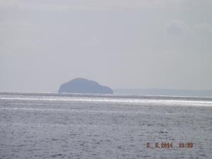DSCF2464.JPG