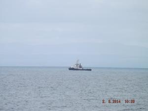 DSCF2465.JPG