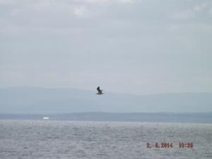 DSCF2471.JPG