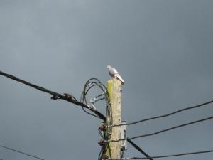 IMG_0655.jpg