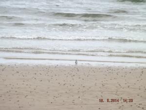 DSCF2514.JPG