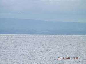 DSCF2520.JPG
