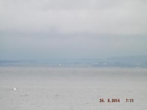 DSCF2528.JPG
