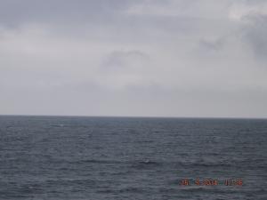DSCF2537.JPG