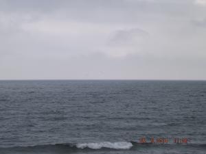 DSCF2538.JPG