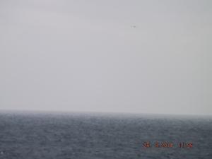 DSCF2540.JPG