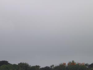 DSCF2542.JPG