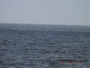 DSCF2545.JPG