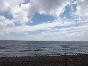 DSCF2546.JPG