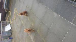 post-11043-14329296435876_thumb.jpg