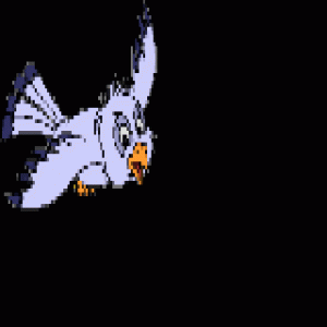 bird.gif