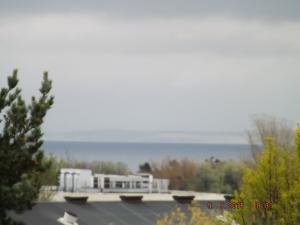 fairandforth9.5.15 019.JPG