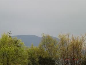 fairandforth9.5.15 016.JPG
