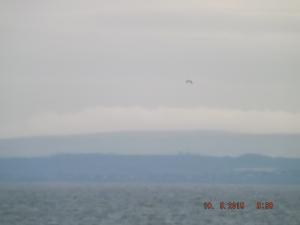 overtheforth10.5.15 008.JPG
