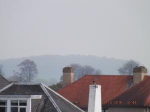 DSCF3630.JPG