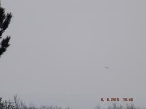 DSCF3631.JPG